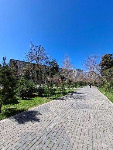 Satılır  obyekt 40 m², Həzi Aslanov m., photo 22 from 23