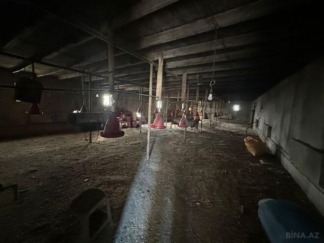 Продаётся  участок 25 сот, пос. Пута, photo 13 from 19