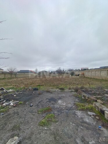 Satılır  torpaq 27.5 sot, Saray q., photo 8 from 12