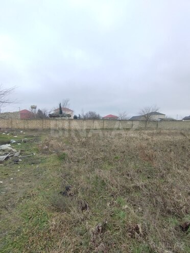 Satılır  torpaq 27.5 sot, Saray q., photo 6 from 12