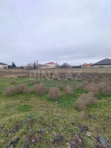 Satılır  torpaq 27.5 sot, Saray q., photo 11 from 12