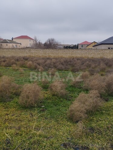 Satılır  torpaq 27.5 sot, Saray q., photo 9 from 12