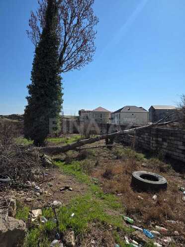 Продаётся  участок 23 сот, пос. Ени Гюнешли, photo 7 from 8