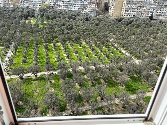 Продаётся 3-комн. новостройка 133 м², м. Насими, photo 18 from 20
