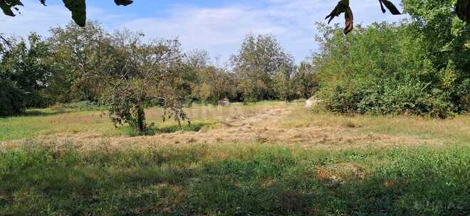 Продаётся  участок 25 сот, photo 10 from 14