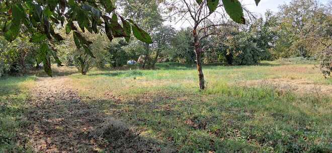 Продаётся  участок 25 сот, photo 12 from 14