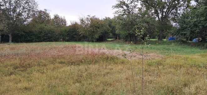 Продаётся  участок 25 сот, photo 5 from 14