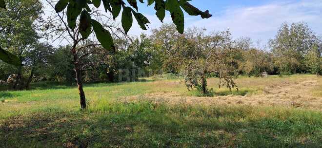 Продаётся  участок 25 сот, photo 9 from 14