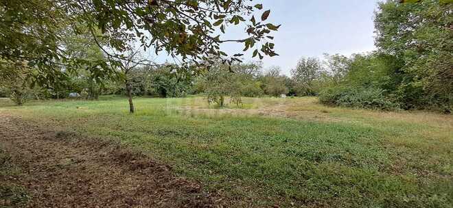 Продаётся  участок 25 сот, photo 3 from 14