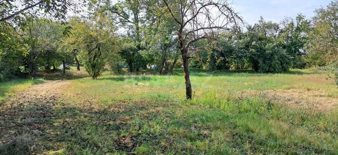 Продаётся  участок 25 сот, photo 13 from 14