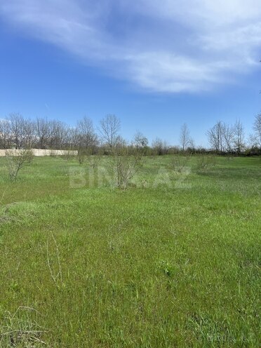 Продаётся  участок 58 сот, photo 3 from 15