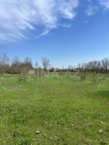 Продаётся  участок 58 сот, photo 14 from 15