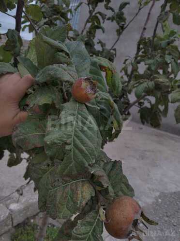 Продаётся 3-комн. дом/дача 130 м², пос. Бузовна, photo 15 from 27