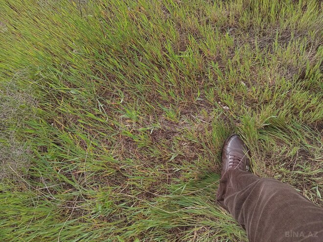 Продаётся  участок 3 сот, пос. Бадамдар, photo 5 from 7