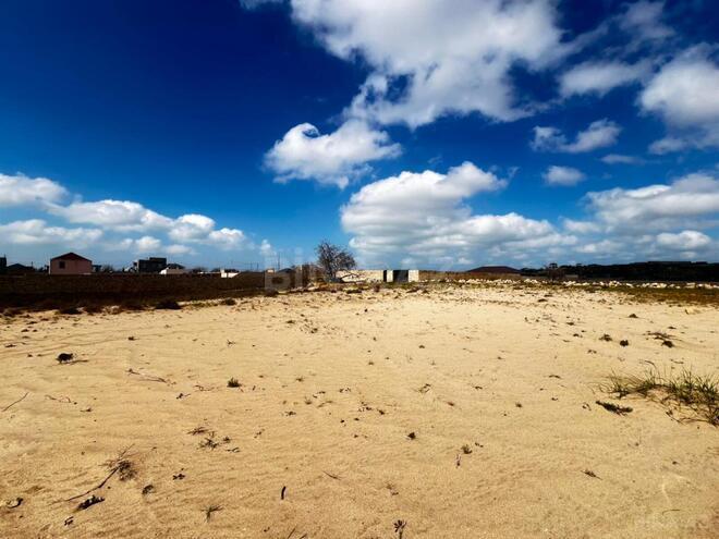 Satılır  torpaq 300 sot, Nardaran q., photo 4 from 9