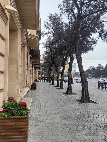 Продаётся 3-комн. вторичка 126 м², м. Сахил, photo 28 from 31