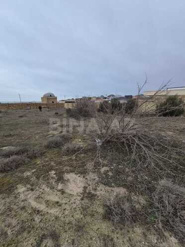 Продаётся  участок 10 сот, пос. Пиршаги, photo 6 from 10