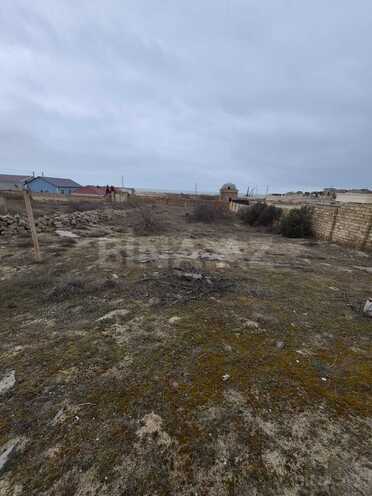 Продаётся  участок 10 сот, пос. Пиршаги, photo 4 from 10