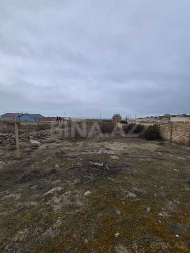 Продаётся  участок 10 сот, пос. Пиршаги, photo 5 from 10