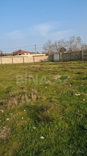 Продаётся  участок 11 сот, пос. Нардаран, photo 1 from 3