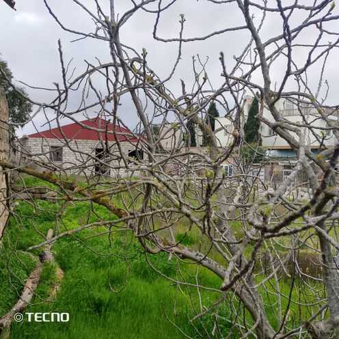 Продаётся  участок 9.5 сот, пос. Шувеляны, photo 4 from 8