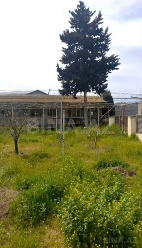 Продаётся  участок 14 сот, пос. Шувеляны, photo 1 from 8