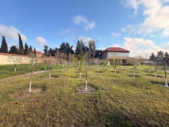 Satılır  torpaq 30 sot, Mərdəkan q., photo 4 from 14