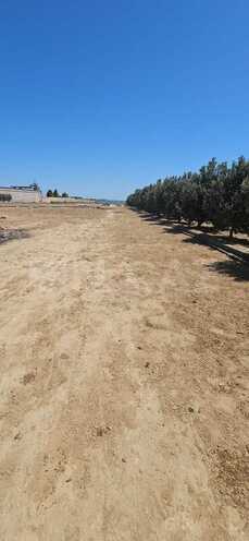 Satılır  torpaq 90 sot, Dübəndi q., photo 1 from 14