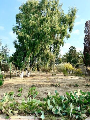 Сдаётся 5-комн. дом/дача 250 м², пос. Мардакан, photo 27 from 29