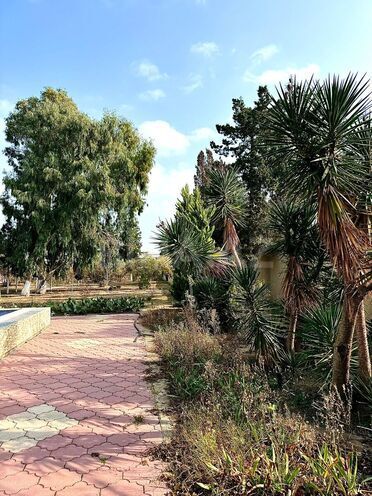 Сдаётся 5-комн. дом/дача 250 м², пос. Мардакан, photo 28 from 29