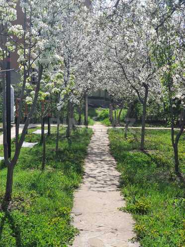 Продаётся  участок 20 сот, м. Насими, photo 6 from 20