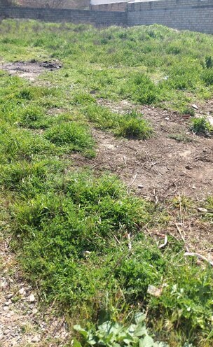 Продаётся  участок 6 сот, пос. Сулутепе, photo 1 from 6