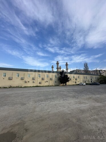 Продаётся  участок 100 сот, м. Насими, photo 6 from 7