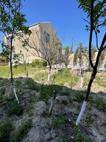 Satılır 4 otaqlı həyət evi/bağ evi 185 m², Novxanı q., photo 1 from 27