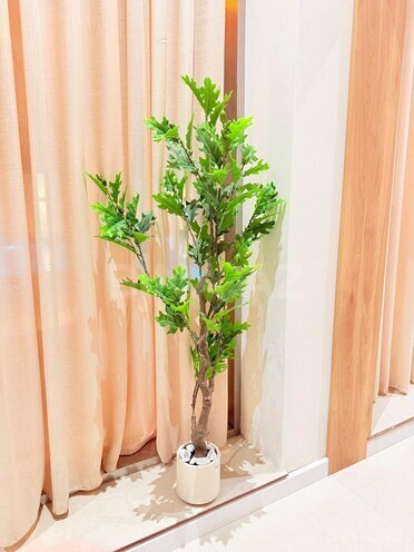 Сдается 4-комн. дом/дача 260 м², пос. Тюркан, photo 9 from 17