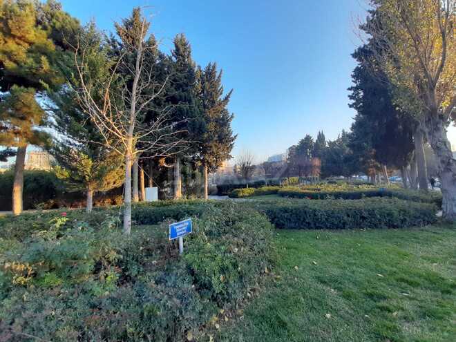 Продаётся 5-комн. дом/дача 250 м², м. Азадлыг проспекти, photo 7 from 8