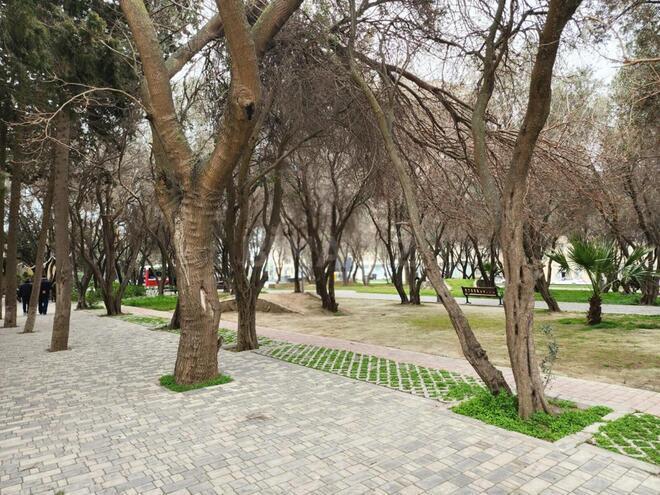 Продаётся 3-комн. вторичка 80 м², м. Ази Асланов, photo 6 from 19