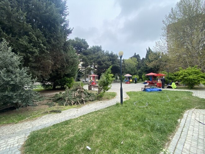 Продаётся 4-комн. вторичка 100 м², м. Гянджлик, photo 12 from 15