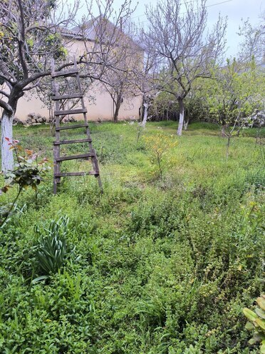 Продаётся 7-комн. дом/дача 400 м², Сураханский  р., photo 4 from 27