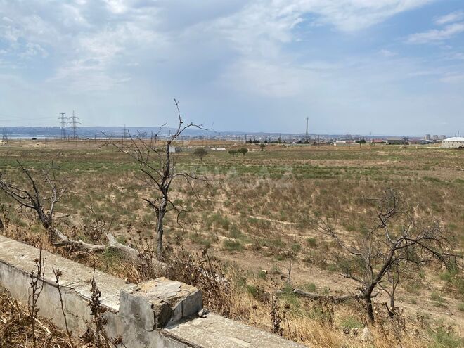 Продаётся  участок 250 сот, пос. Мамедли, photo 1 from 5