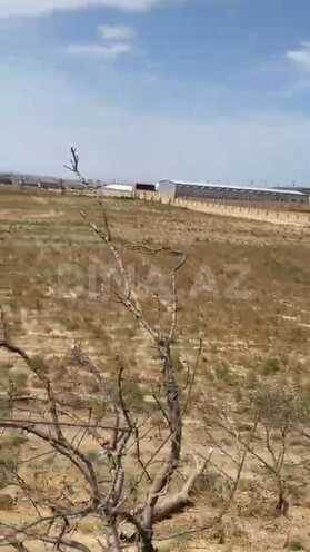 Продаётся  участок 250 сот, пос. Мамедли, photo 4 from 5