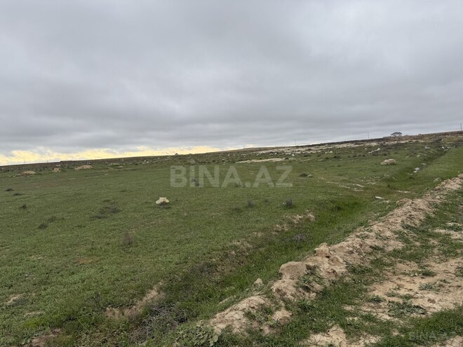 Продаётся  участок 110 сот, пос. Масазыр, photo 4 from 5