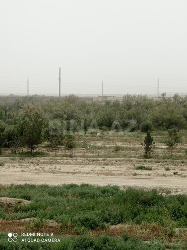 Satılır  torpaq 2 000 sot, Ələt q., photo 3 from 6
