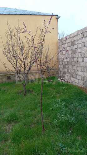 Продаётся 1-комн. дом/дача 40 м², пос. Савалан, photo 3 from 9