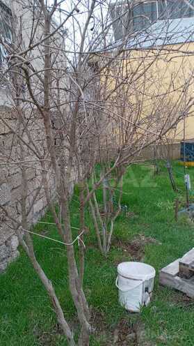 Продаётся 1-комн. дом/дача 40 м², пос. Савалан, photo 6 from 9