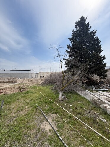Продаётся  участок 11 сот, пос. Шувеляны, photo 1 from 14