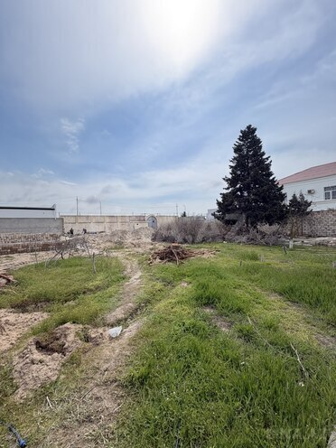 Продаётся  участок 11 сот, пос. Шувеляны, photo 3 from 14