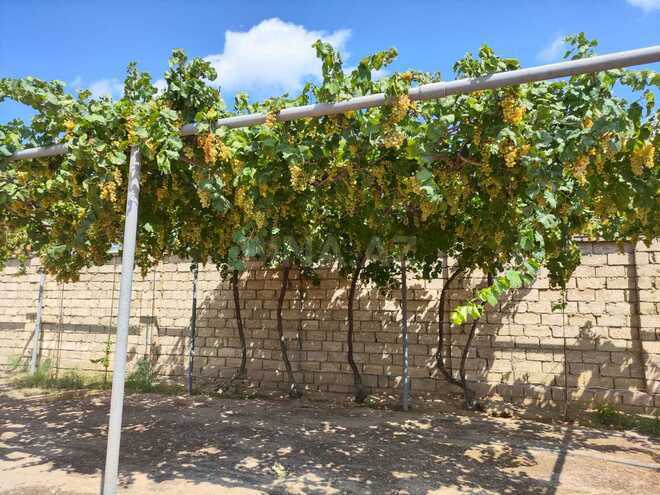 Satılır 5 otaqlı həyət evi/bağ evi 504 m², Buzovna q., photo 28 from 30