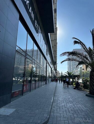 İcarəyə verilir 1 otaqlı yeni tikili 48 m², Nəriman Nərimanov m., photo 3 from 29