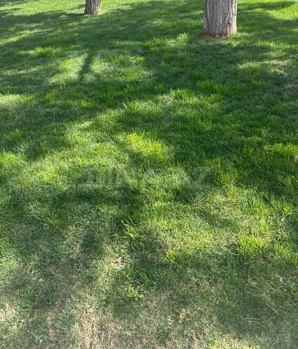 Продаётся  участок 5 сот, пос. Шаган, photo 5 from 7